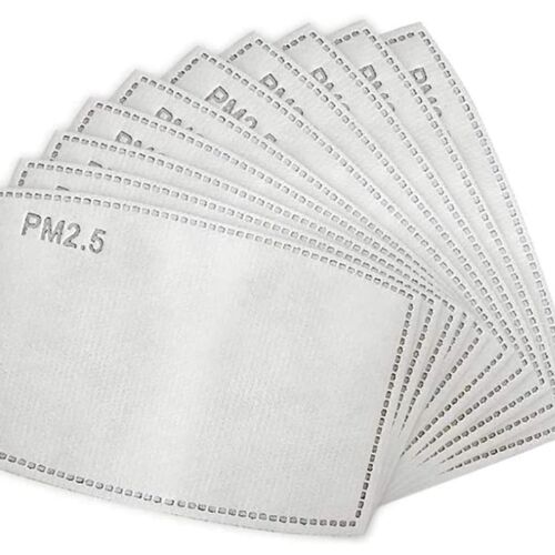 PM 2.5 Filter - WHILE SUPPLIES LAST  Thumbnail